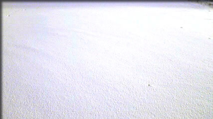 真っ白な新雪でふかふかの堤防