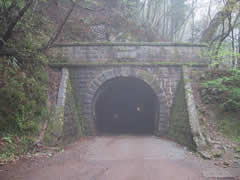 （旧）天城トンネル