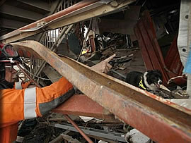 東日本大震災で活躍する災害救助犬