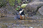 クリックで拡大！