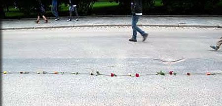 道路に置かれた花のライン