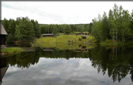 池の向こうに農村風景と牛