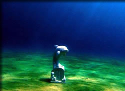 イルカの墓石