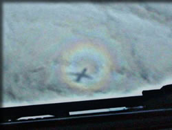 飛行機から見える丸い虹